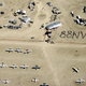 Image for article titled Are You Crazy Enough To Fly To Burning Man?